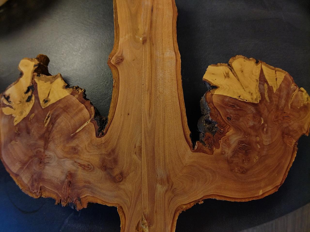 Detailaufnahme Mistelwurzel